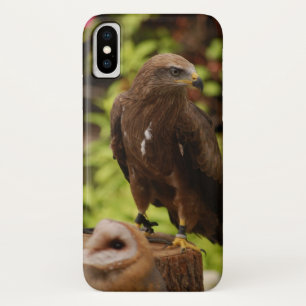 Birds of prey... iPhone x case