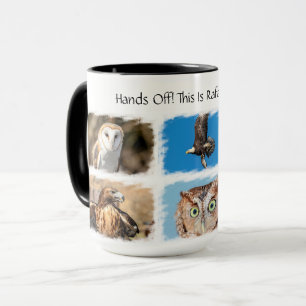 Birds of Prey Mug