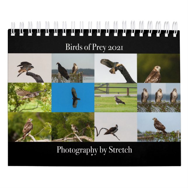 Birds of Prey - Two Page Small Calendar (Cover)