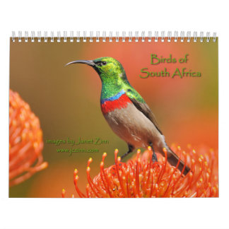 Birds of South Africa Calendar