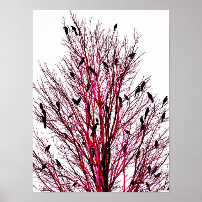 "Birds of Texas Red" JTG Art Poster (Front)