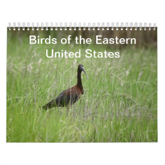 Birds of the Eastern United States calendar