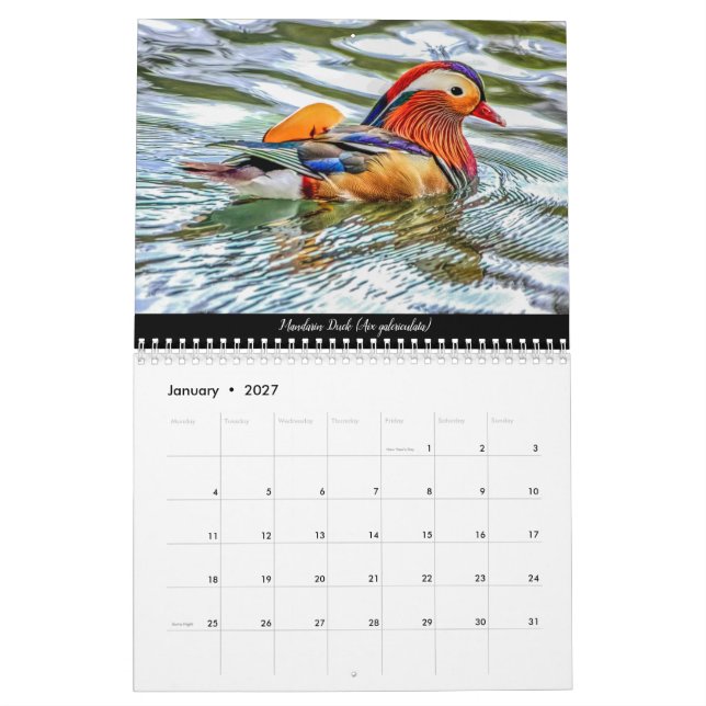 Birds of The Forest Of Dean 2021 Calendar (Jan 2027)