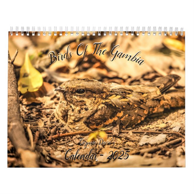 Birds of The Gambia Calendar (Cover)