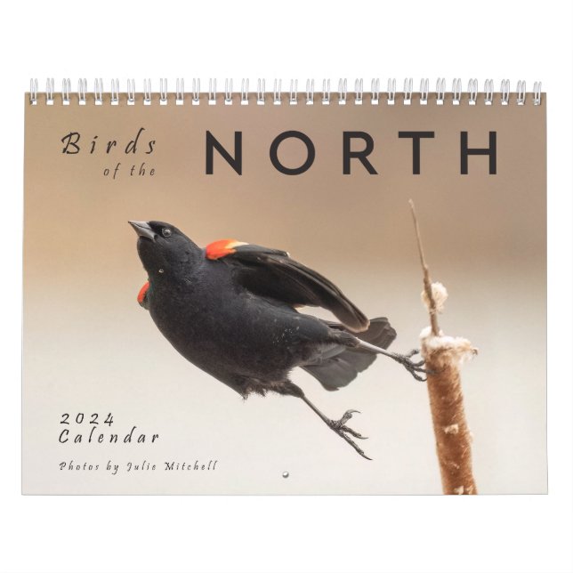 Birds of the North: Great Lakes Calendar (Cover)