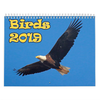 Birds of the Northeast Calendar