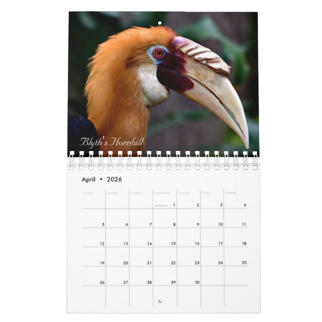 Birds of the world calendar (Apr 2026)