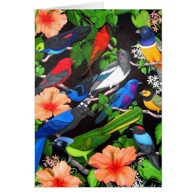 Birds of the Yucatan Peninsula (Front)