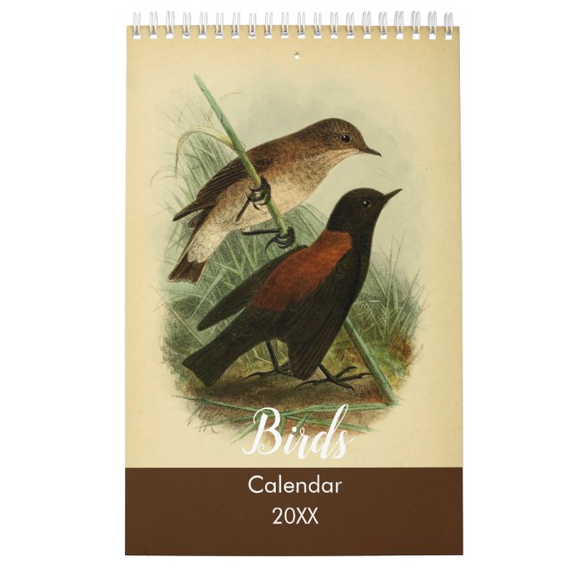 Birds of Tierra Del Fuego Calendar (Cover)