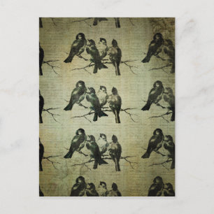 Birds on a Branch BAckground Postcard