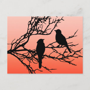 Birds on a Branch, Black Against Sunset Orange Postcard