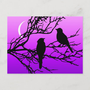 Birds on a Branch, Black Against Twilight Purple Postcard