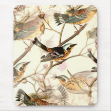 Birds on a Branch