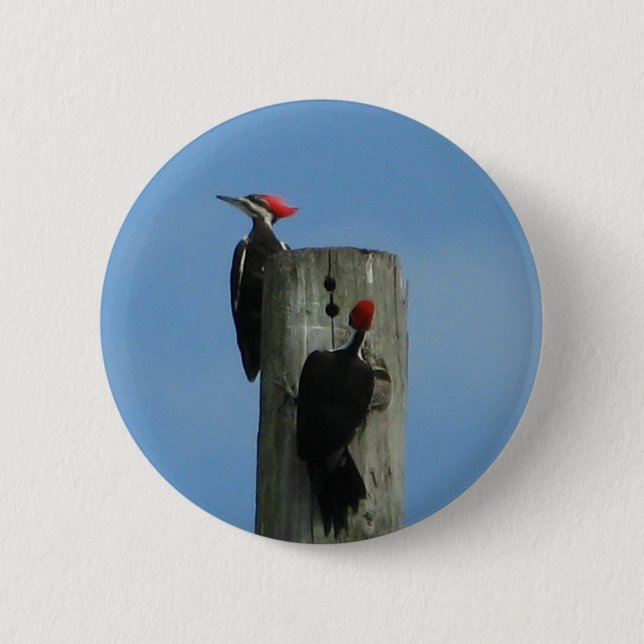 Birds on a Pole 6 Cm Round Badge (Front)