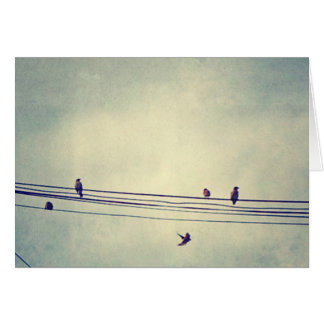 Birds on a wire - blank inside