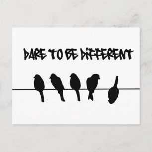 Birds on a wire – dare to be different postcard