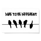 Birds on a wire – dare to be different