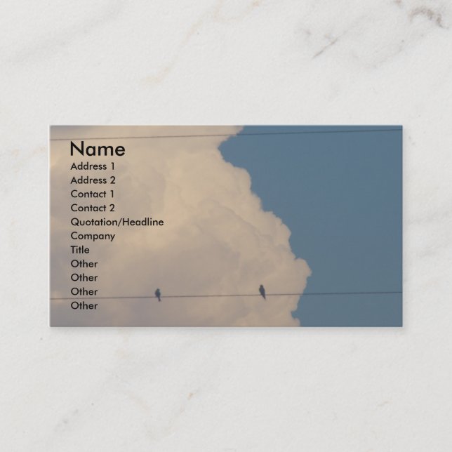 Birds On A Wire with Fog on Lens Business Card (Front)