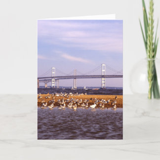 Birds on Chesapeake Bay Card