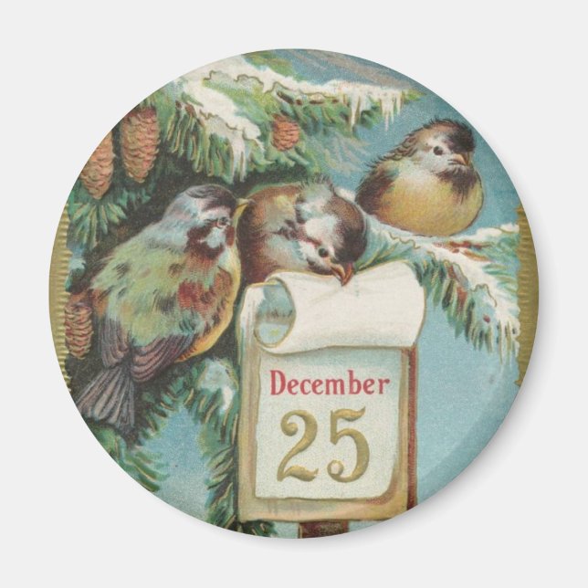 Birds on Decemeber 25th Magnet (Front)