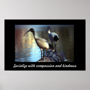 Birds on log poster