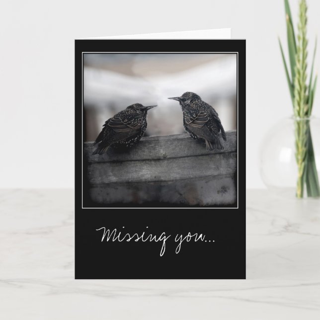Birds on Missing You greeting card (Front)