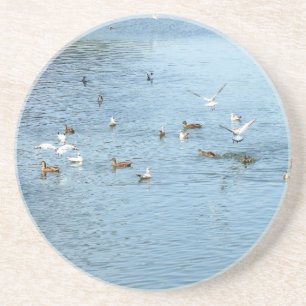 Birds On Summer River Coaster