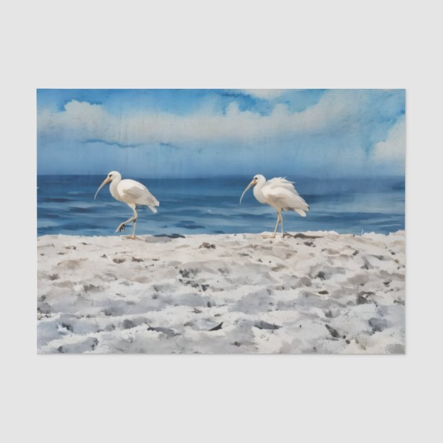 Birds on the Beach Tissue Paper (Front)
