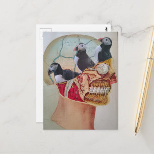 Birds on the Brain Surreal mixed media collage  Postcard