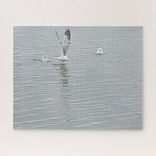 Birds On The Water Jigsaw Puzzle