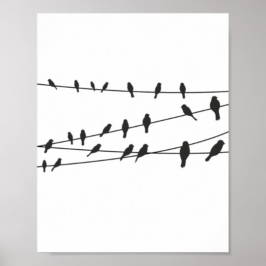 Birds On Wire Black White Poster Wall Art Decor Zazzle Com Au