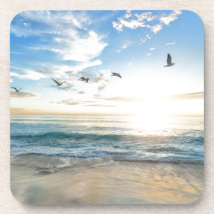 birds over the beach coaster