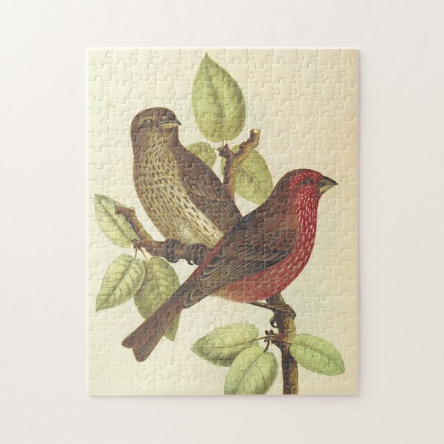 Birds Perched on a Branch, Vintage Look Puzzle (Vertical)