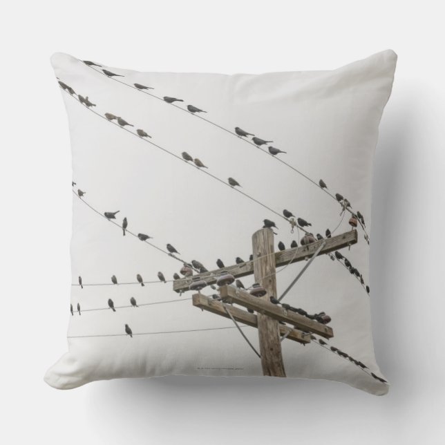 Birds perched on wires cushion (Front)