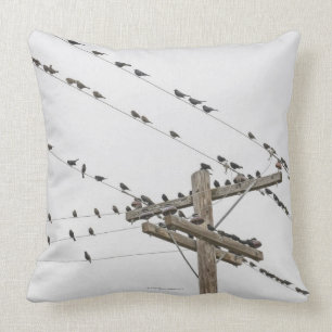 Birds perched on wires cushion