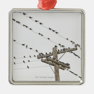 Birds perched on wires metal tree decoration