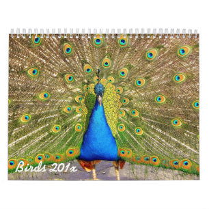 Birds Personalised Calendar