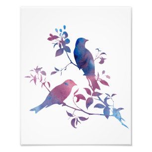 Birds Photo Print
