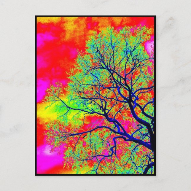 Birds Postcard (Front)