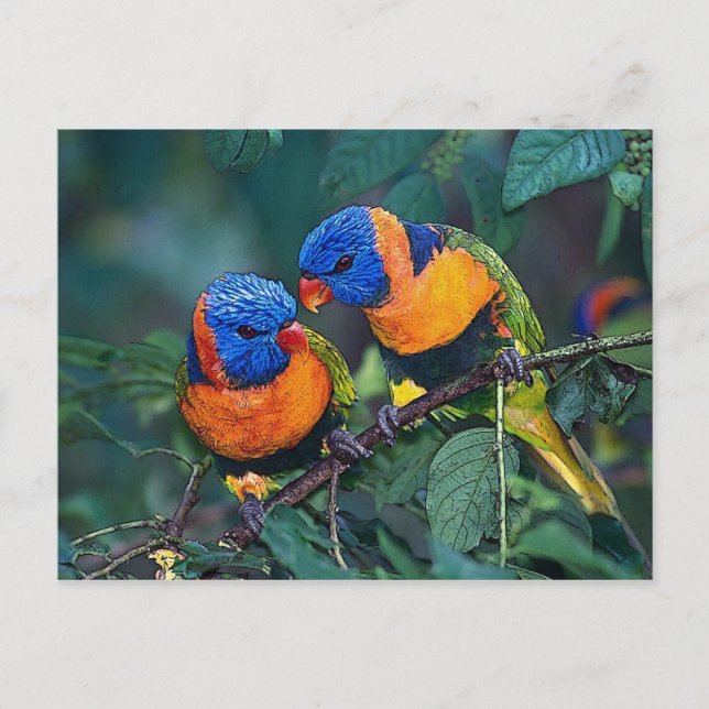 Birds Postcard (Front)