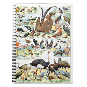 Birds poster vintage notebook