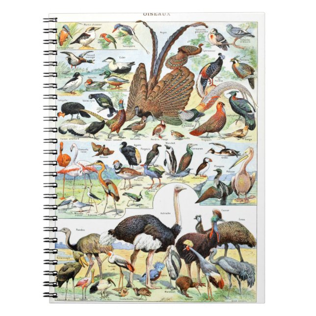 Birds poster vintage notebook (Front)