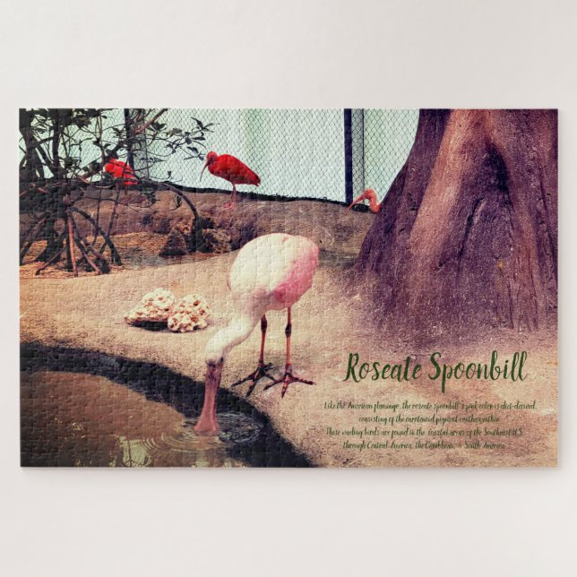 Birds Roseate Spoonbill Jigsaw Puzzle (Horizontal)
