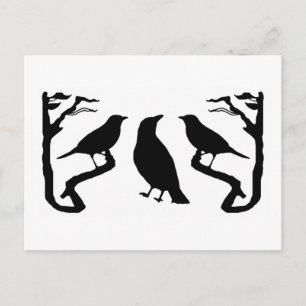 Birds Silhouette Postcard