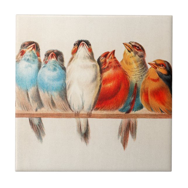 Birds Sitting Pretty and Calm Ceramic Tile (Front)