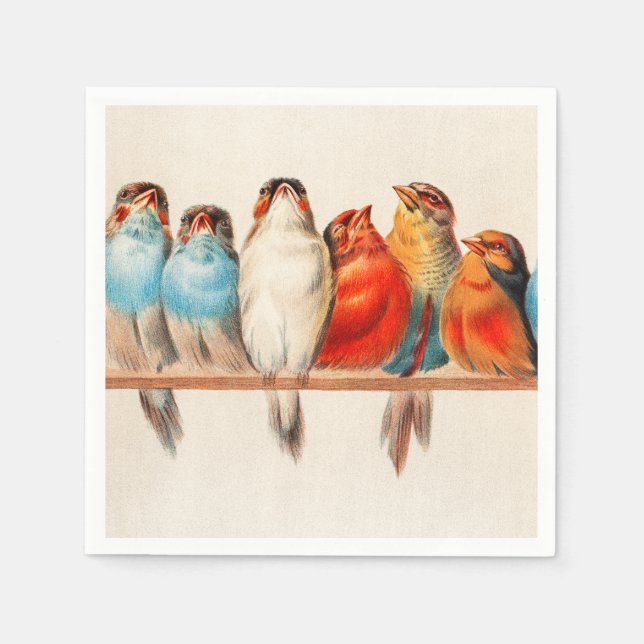 Birds Sitting Pretty and Calm Napkin (Front)