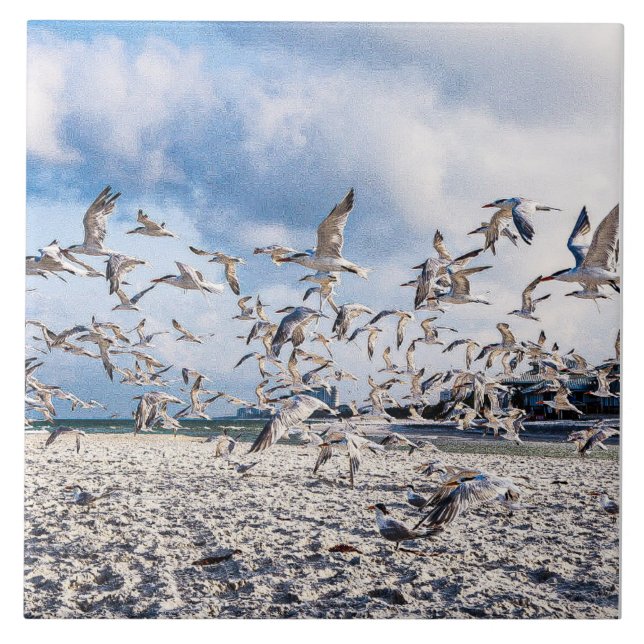 Birds soaring  ceramic tile (Front)