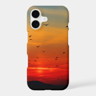 Birds Take Flight at Sunset, picturesque photo,