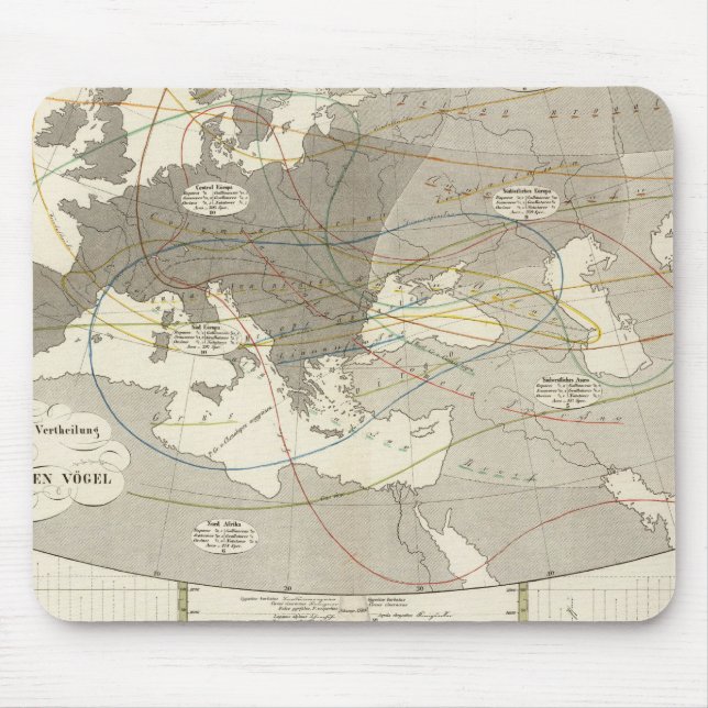 Birds throughout Europe Mouse Pad (Front)