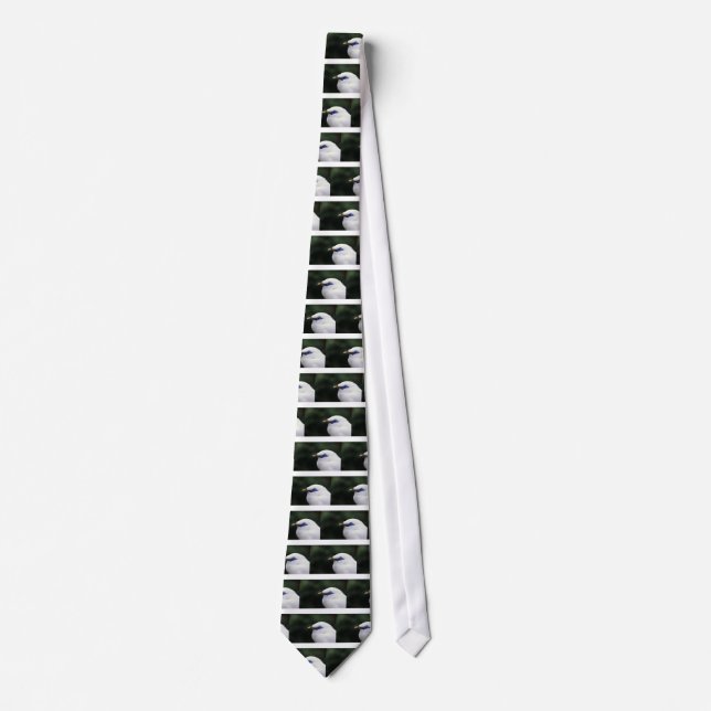 Birds Tie (Front)